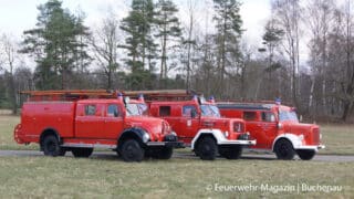 Heidebrand Waldbrand