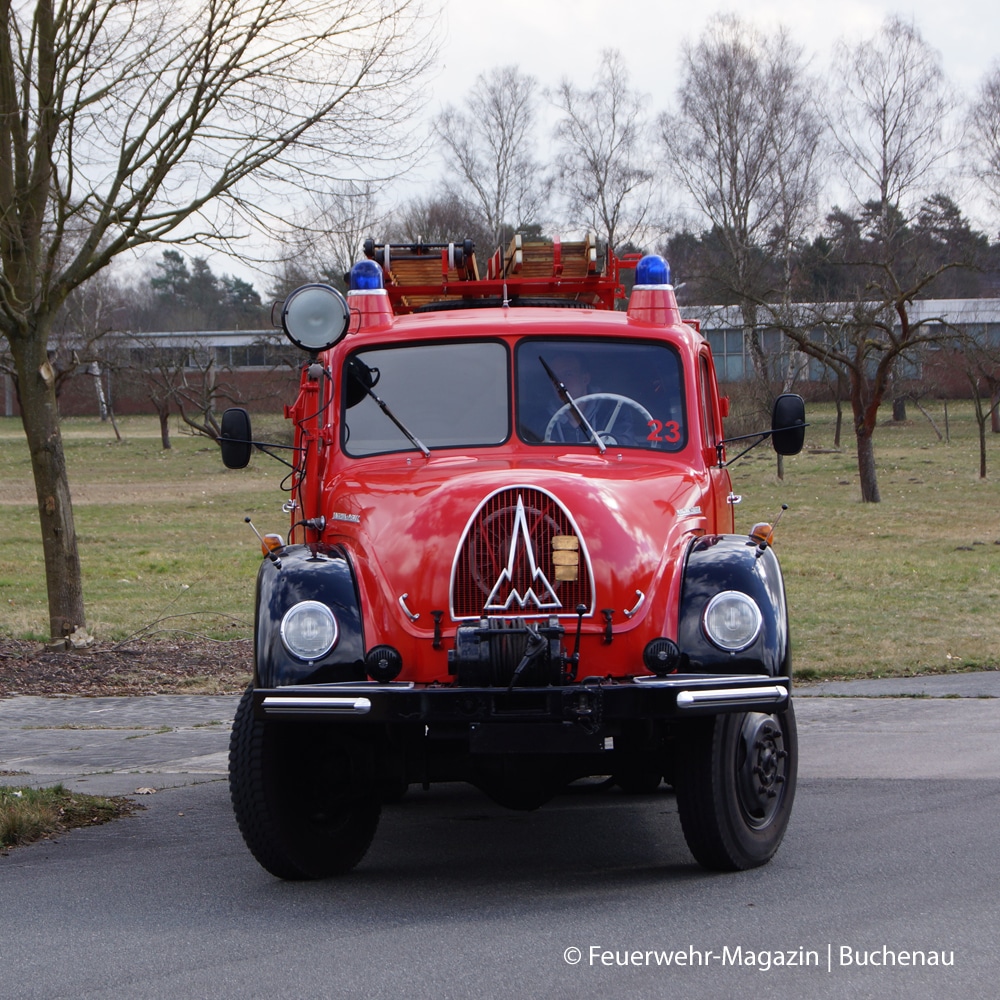 Heidebrand Waldbrand