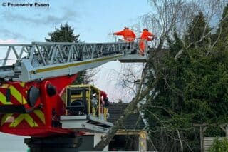 Mithilfe der Drehleiter werden Sturmschäden beseitigt