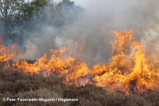 Waldbrand